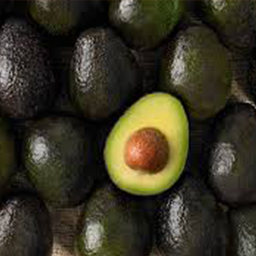 AVOCADO