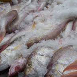 FROZEN SMOKED FISH